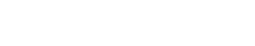 Apeks Logo