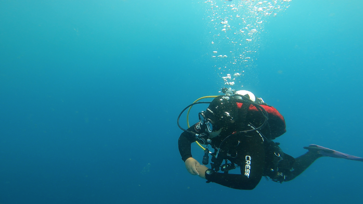 Upcoming Scuba Events